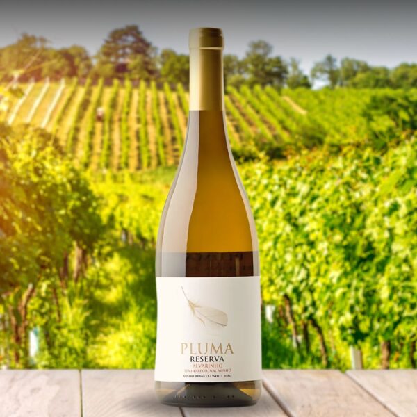 Casa Santos Lima Vinho Verde alvainho reserva - PLUMA - Imagen 2