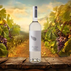 Diseño sin título (6)