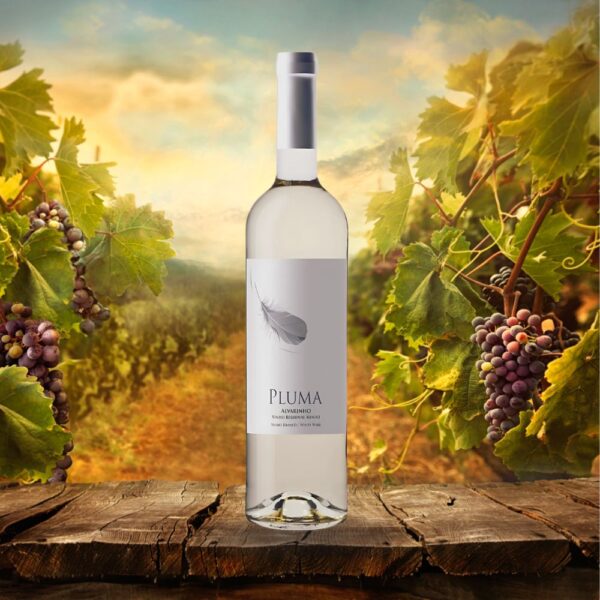 Casa Santos Lima Vinho Verde alvainho - PLUMA - Imagen 2