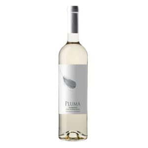 Casa Santos Lima Vinho Verde alvainho - PLUMA