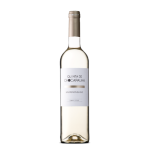 Q. DE CHOCAPALHA VINO BLANCO SAUVIGNON 750 ML