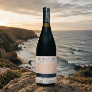 VINO VICENTINO TINTO RED 2